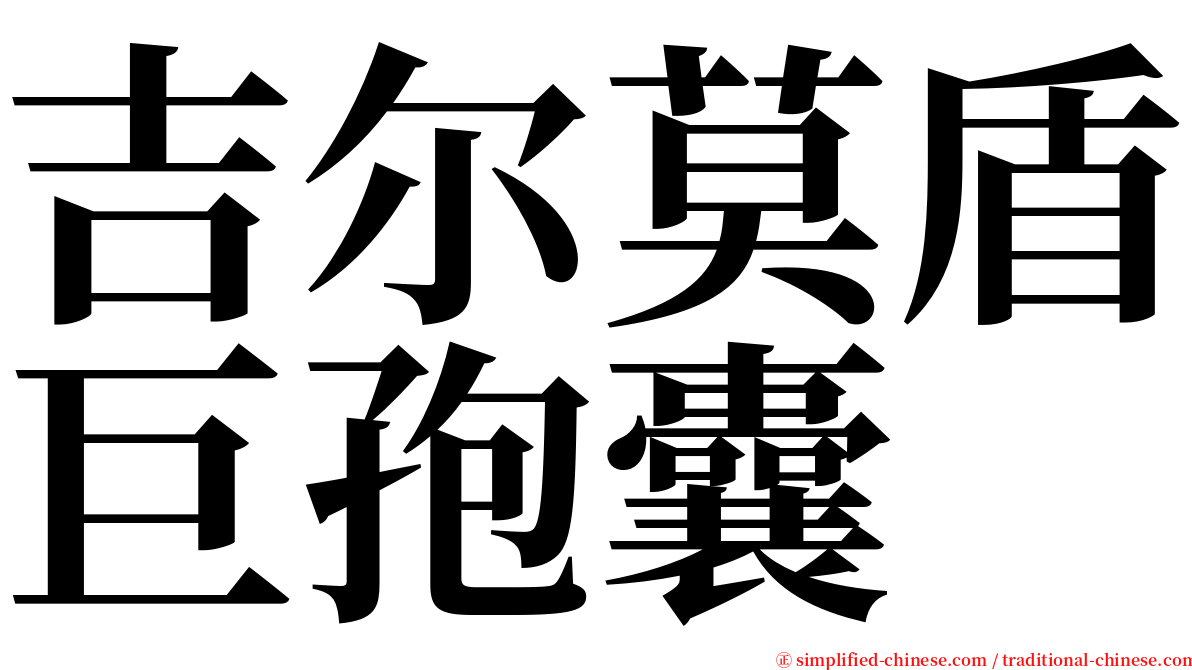 吉尔莫盾巨孢囊 serif font