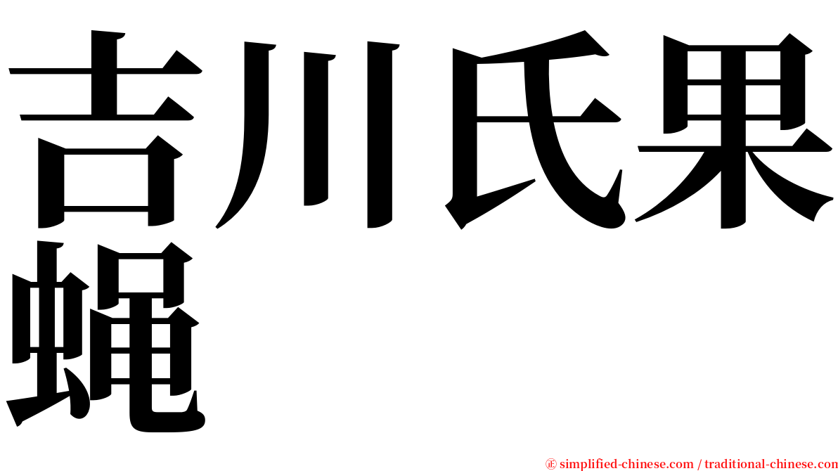 吉川氏果蝇 serif font