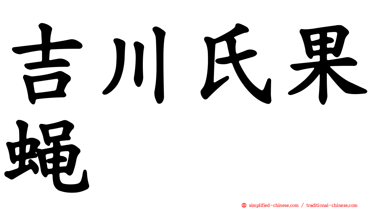 吉川氏果蝇