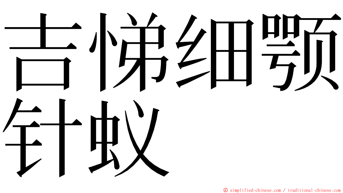 吉悌细颚针蚁 ming font