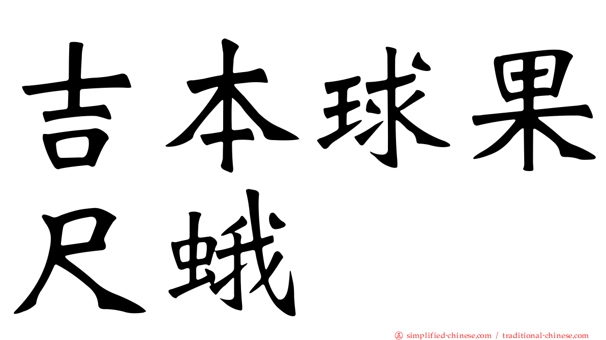 吉本球果尺蛾