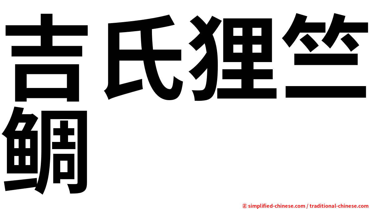 吉氏狸竺鲷