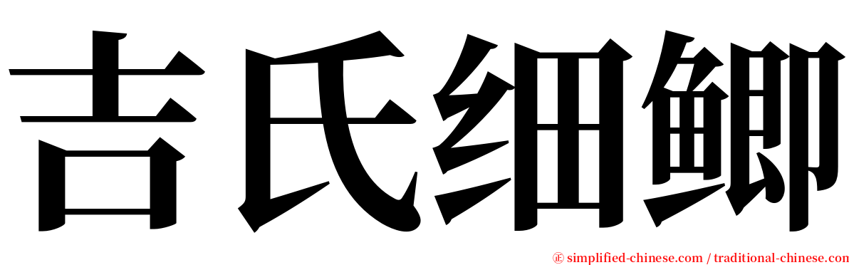 吉氏细鲫 serif font