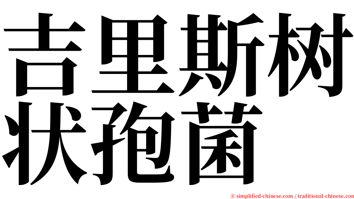 吉里斯树状孢菌 serif font
