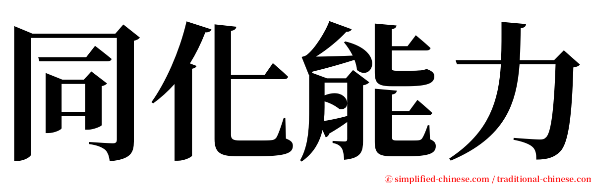 同化能力 serif font