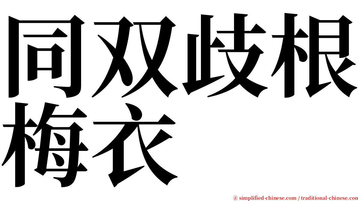 同双歧根梅衣 serif font