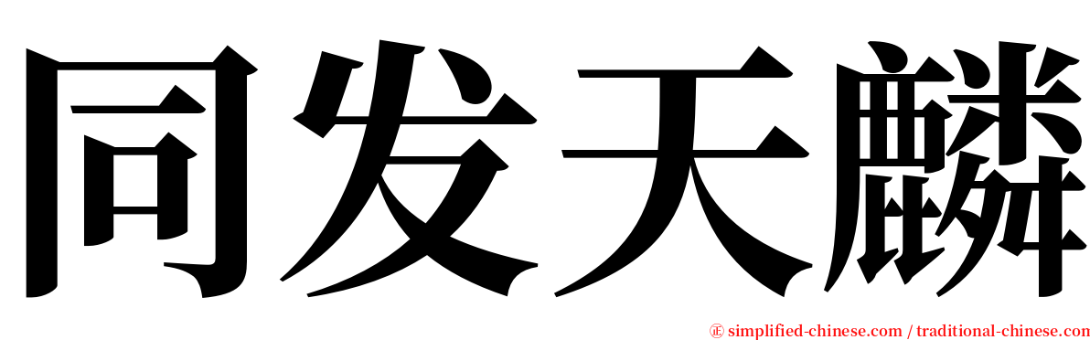 同发天麟 serif font