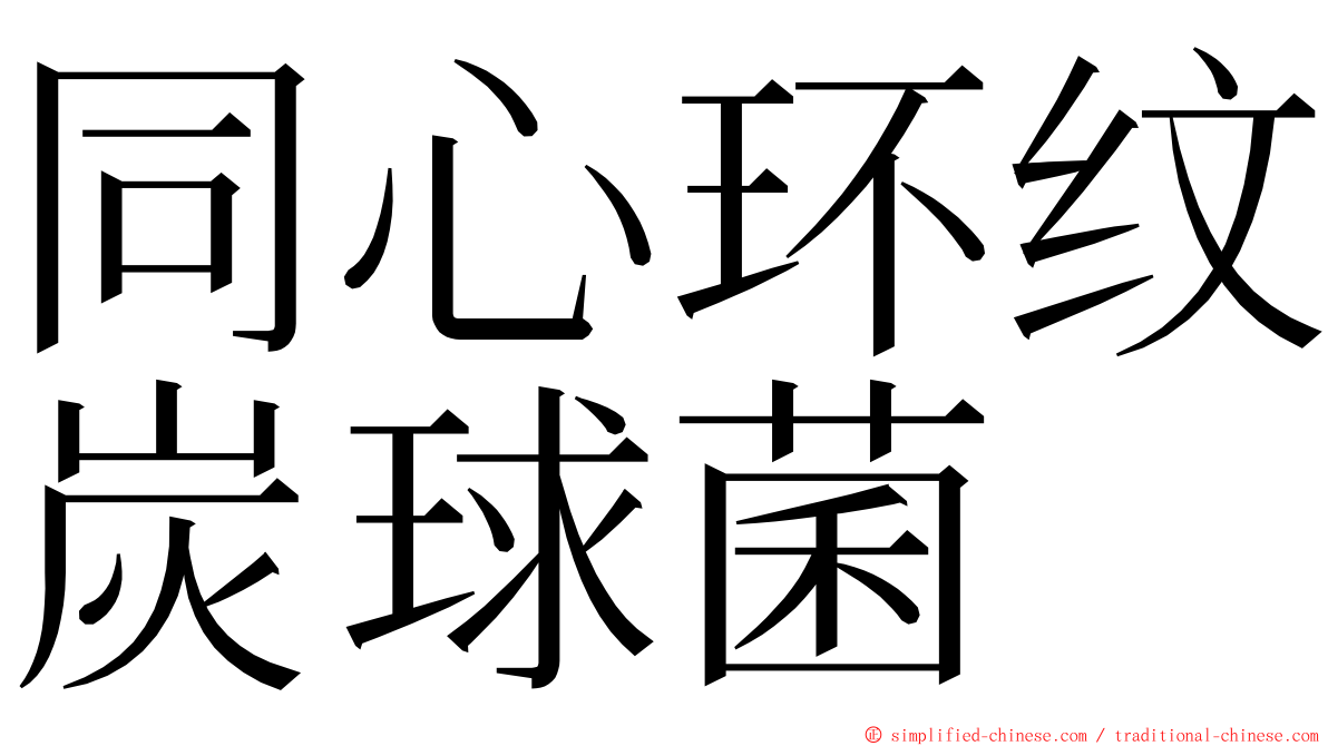 同心环纹炭球菌 ming font