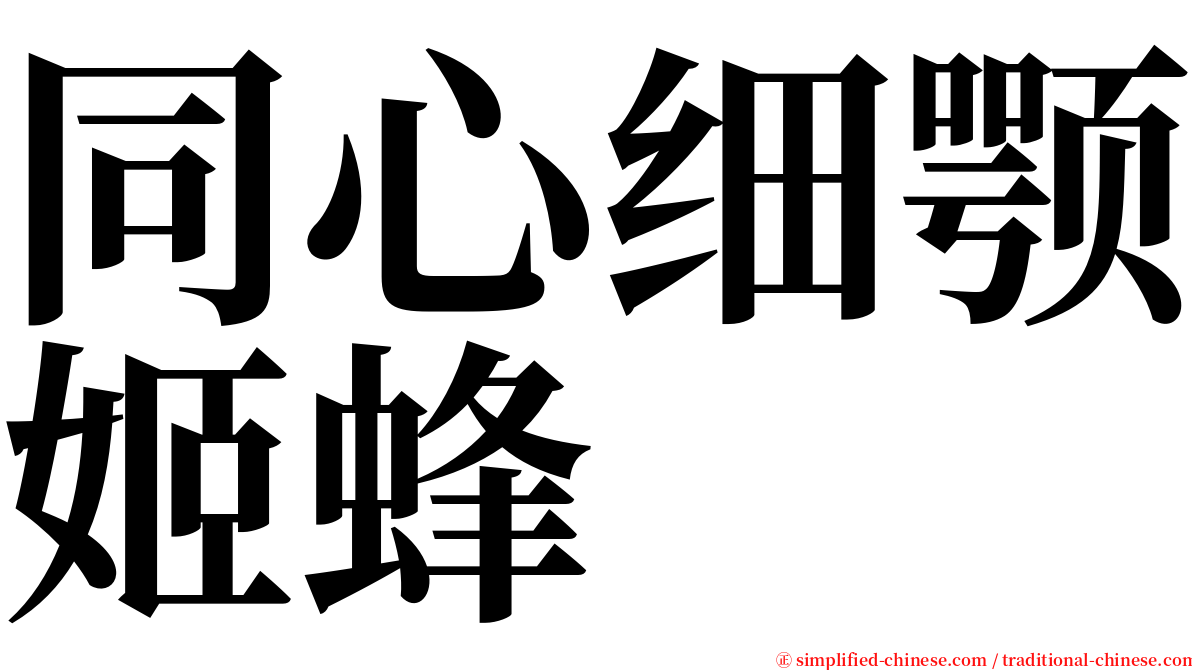 同心细颚姬蜂 serif font