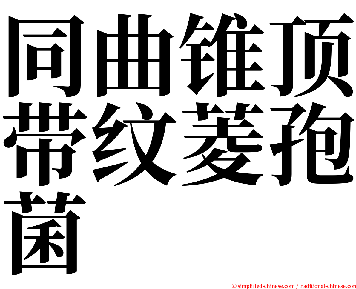 同曲锥顶带纹菱孢菌 serif font