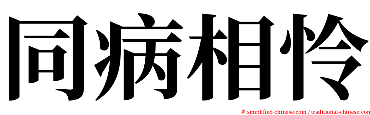 同病相怜 serif font