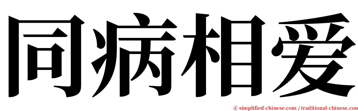 同病相爱 serif font