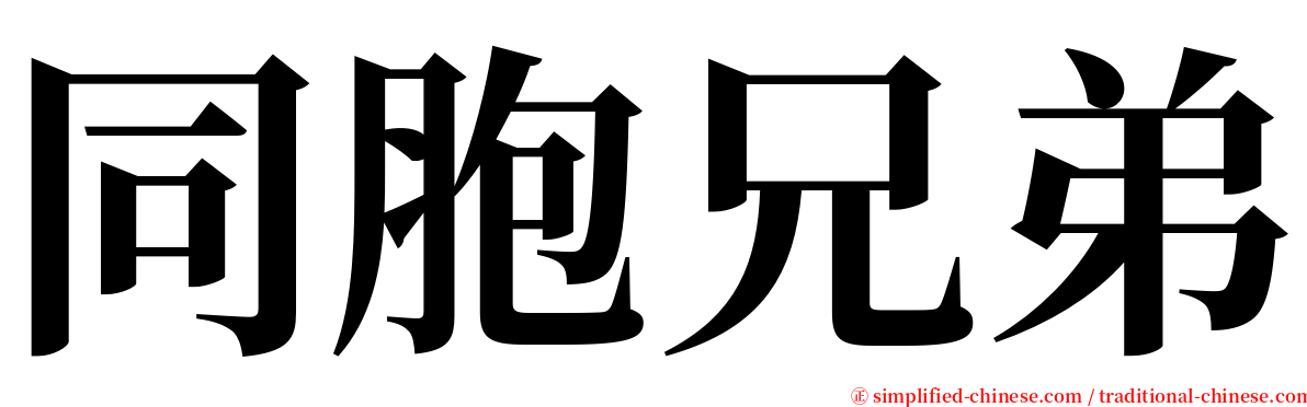 同胞兄弟 serif font