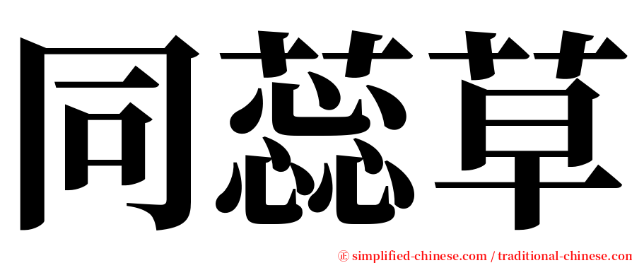 同蕊草 serif font