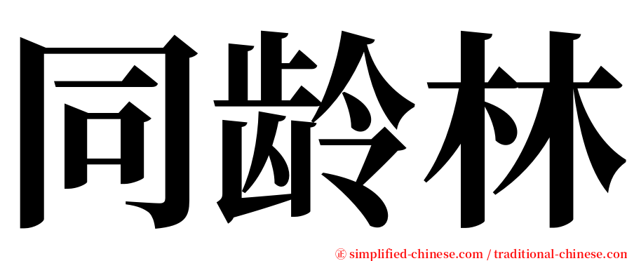 同龄林 serif font