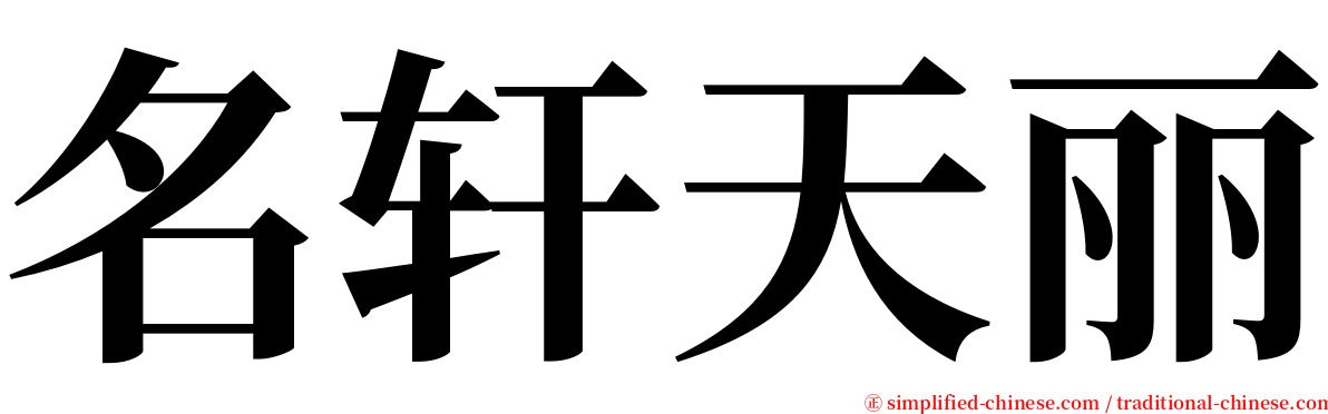 名轩天丽 serif font