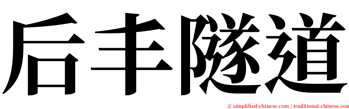 后丰隧道 serif font