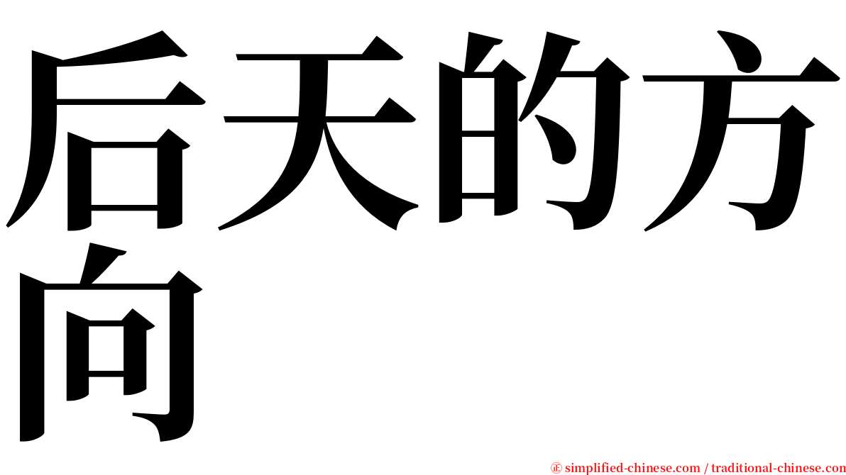 后天的方向 serif font