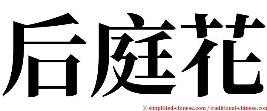 后庭花 serif font