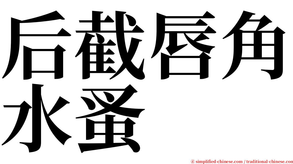 后截唇角水蚤 serif font