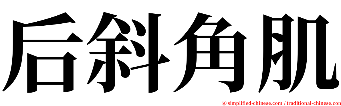 后斜角肌 serif font