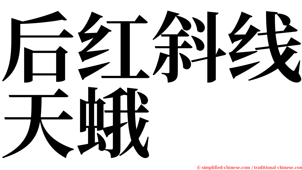 后红斜线天蛾 serif font