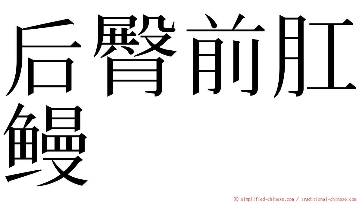 后臀前肛鳗 ming font