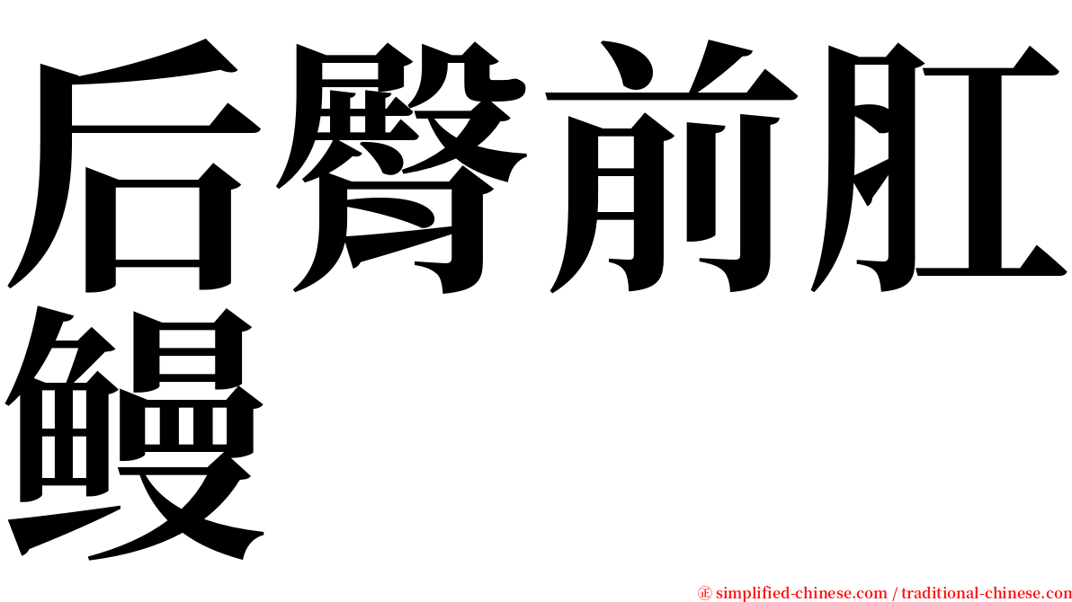 后臀前肛鳗 serif font