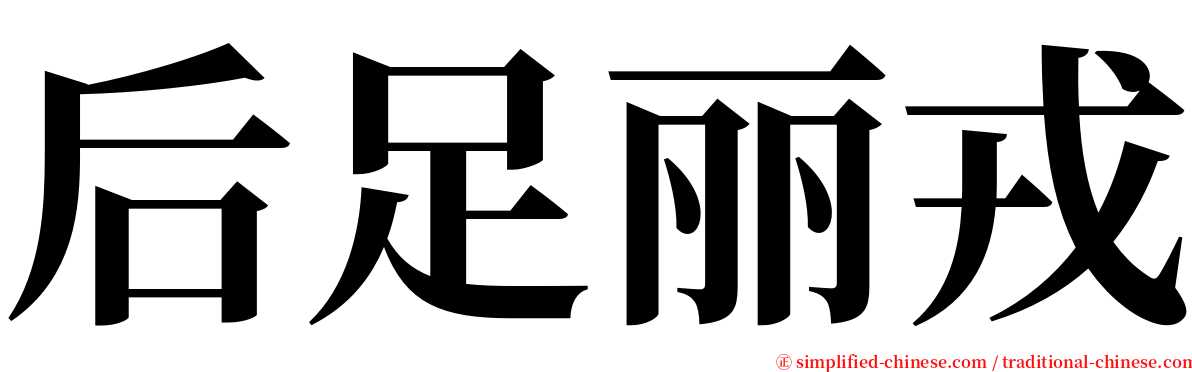 后足丽戎 serif font