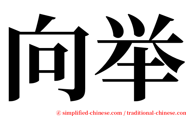 向举 serif font