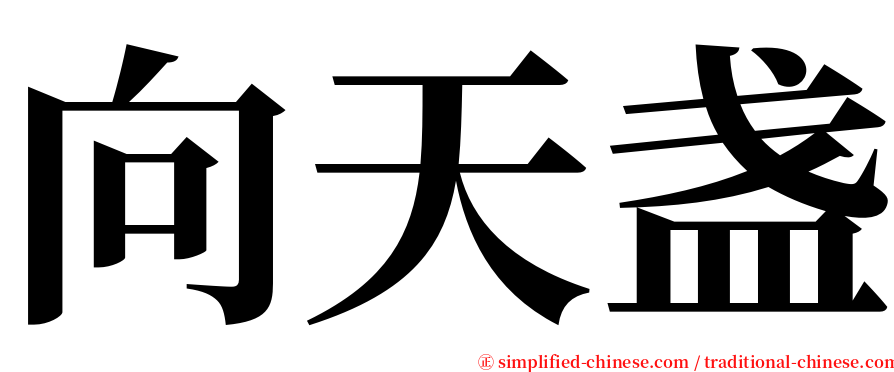 向天盏 serif font