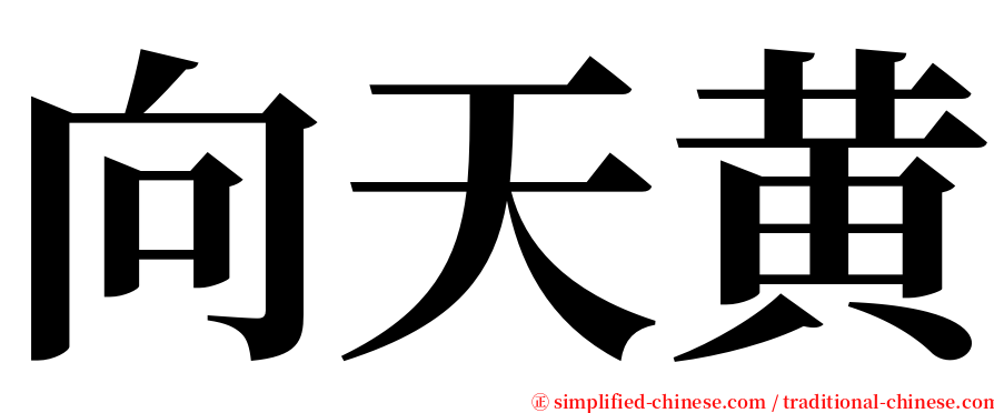 向天黄 serif font