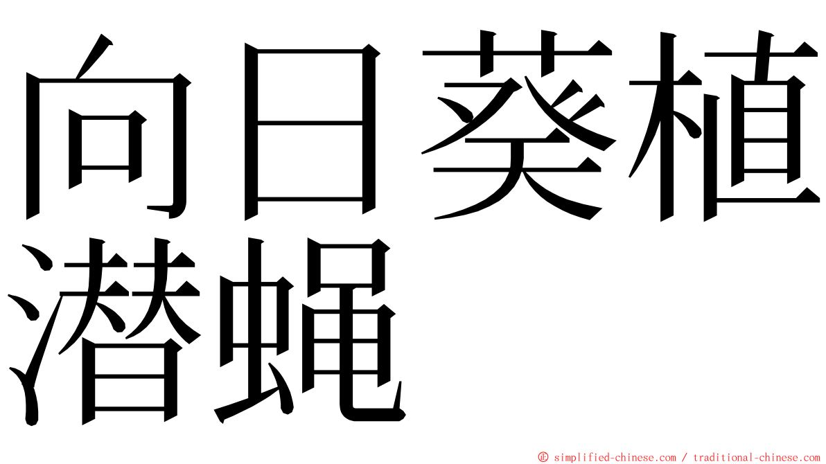 向日葵植潜蝇 ming font