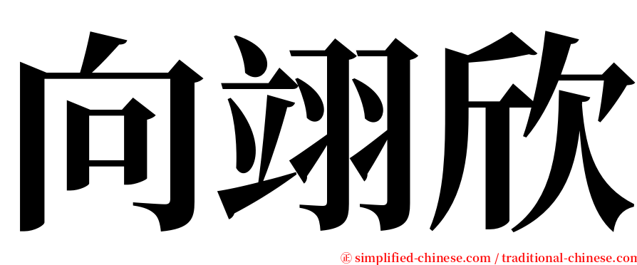 向翊欣 serif font