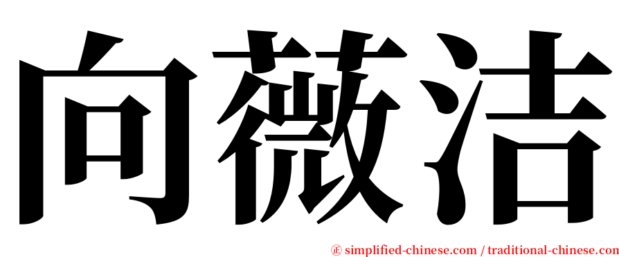 向薇洁 serif font