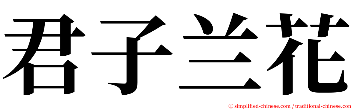 君子兰花 serif font