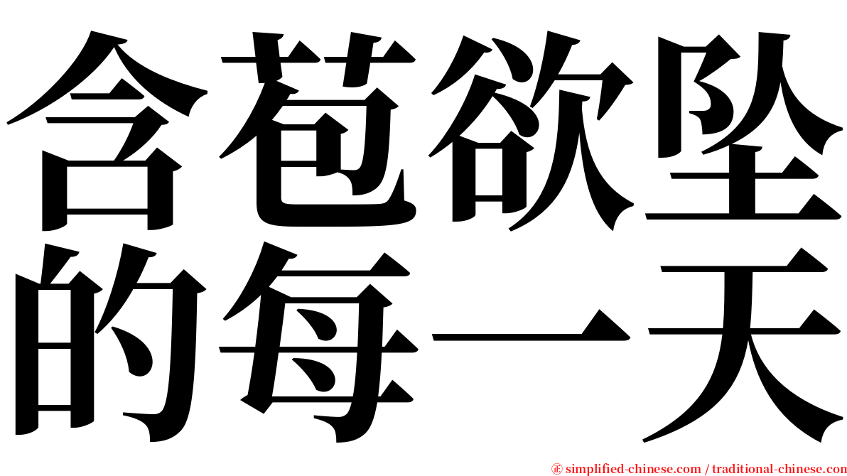 含苞欲坠的每一天 serif font