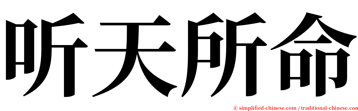 听天所命 serif font