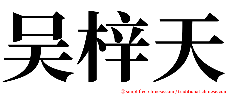 吴梓天 serif font