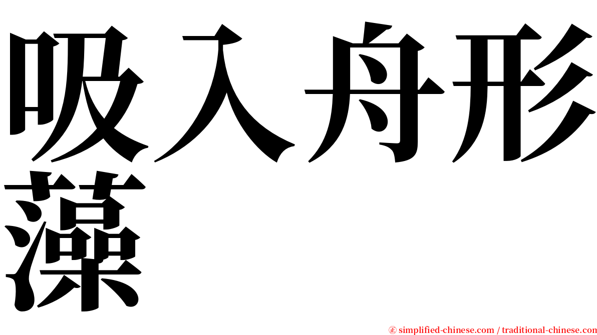 吸入舟形藻 serif font