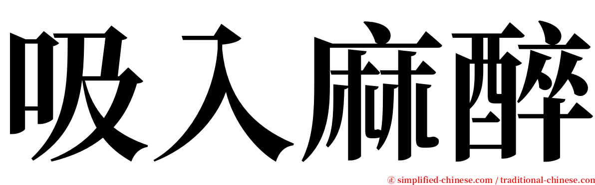 吸入麻醉 serif font