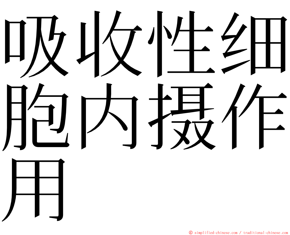 吸收性细胞内摄作用 ming font