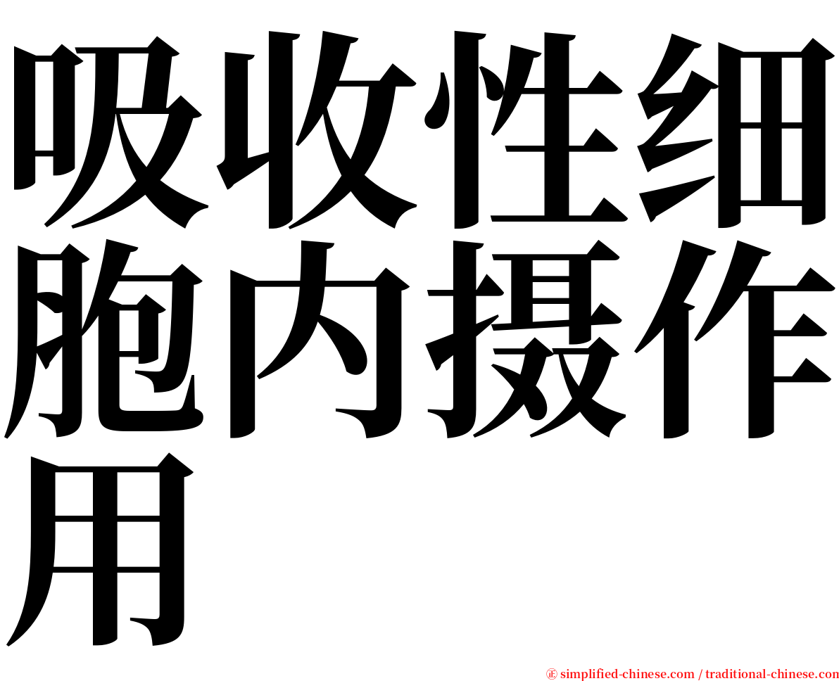 吸收性细胞内摄作用 serif font