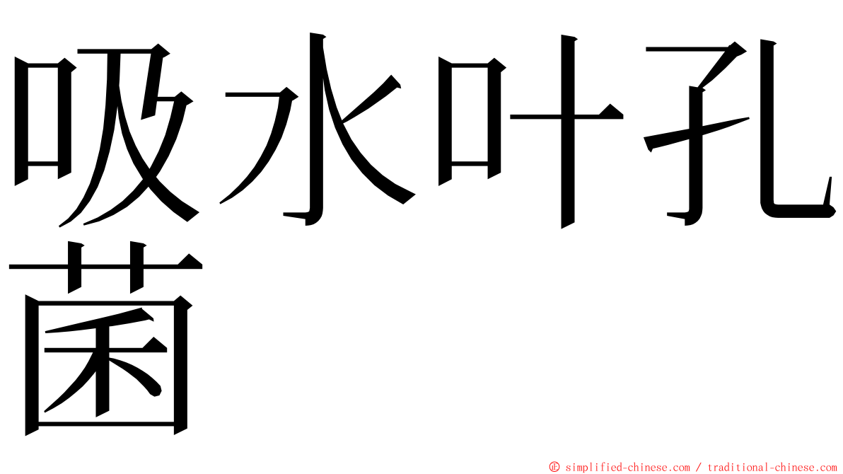 吸水叶孔菌 ming font