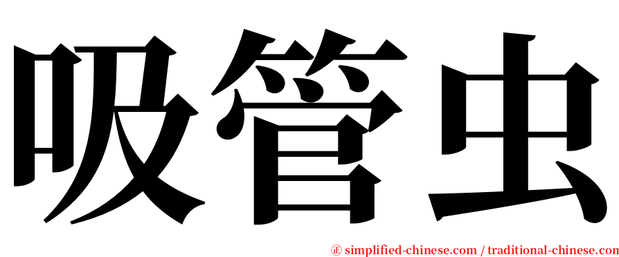 吸管虫 serif font