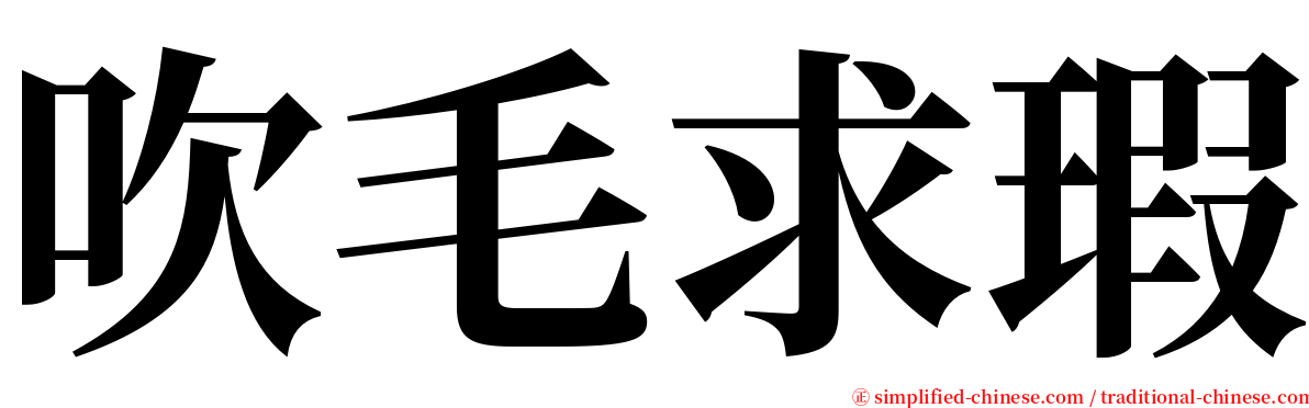 吹毛求瑕 serif font