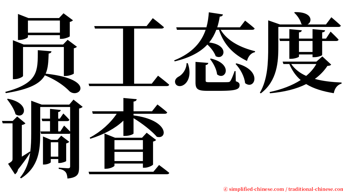 员工态度调查 serif font