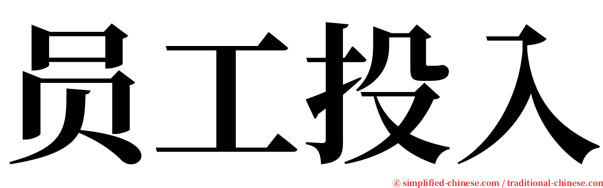 员工投入 serif font