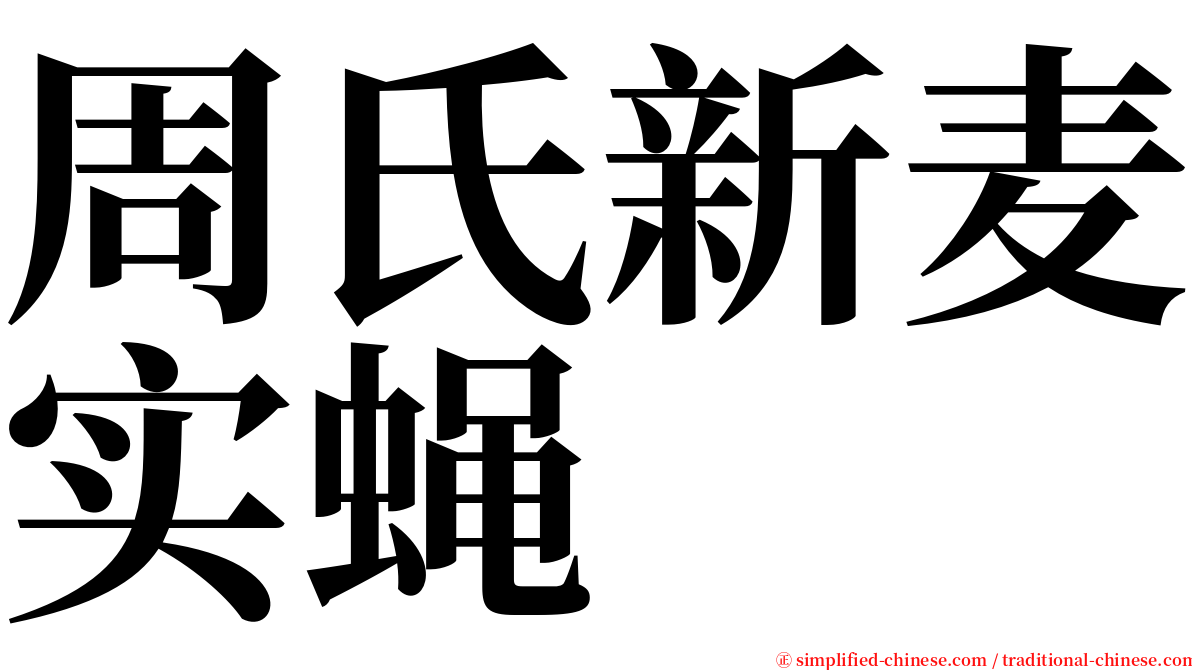 周氏新麦实蝇 serif font