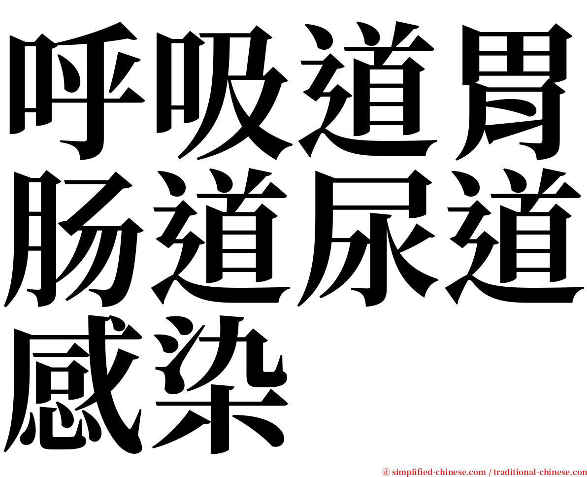 呼吸道胃肠道尿道感染 serif font